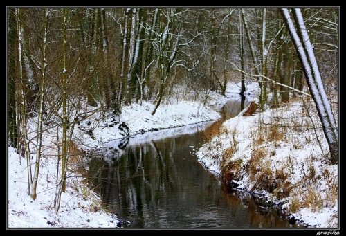 zimowa terażniejszość cz. III ... #zima #drzewa #rzeka #las