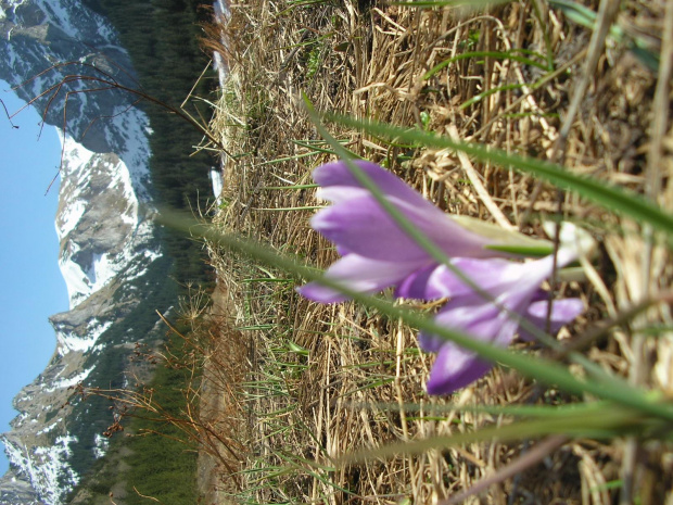 ZAKOPANE 2007