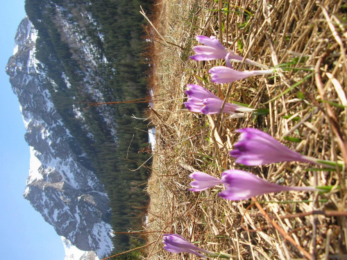 ZAKOPANE 2007