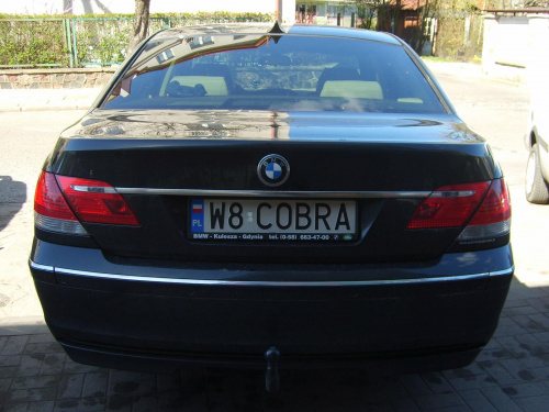 W8 COBRA