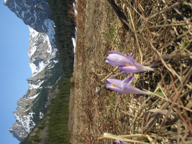 ZAKOPANE 2007