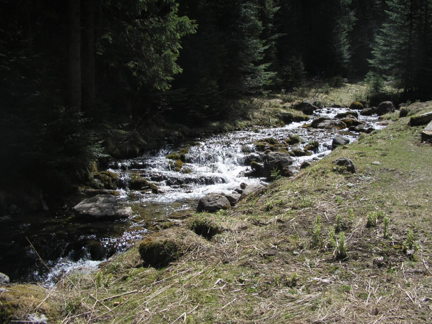 ZAKOPANE 2007