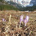 ZAKOPANE 2007