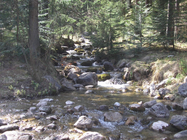 ZAKOPANE 2007