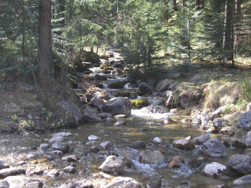 ZAKOPANE 2007