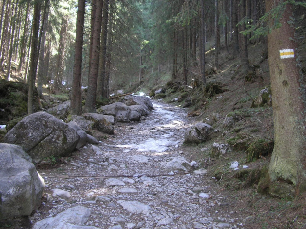 ZAKOPANE 2007