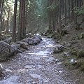 ZAKOPANE 2007