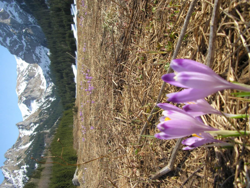 ZAKOPANE 2007