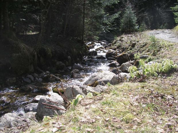 ZAKOPANE 2007