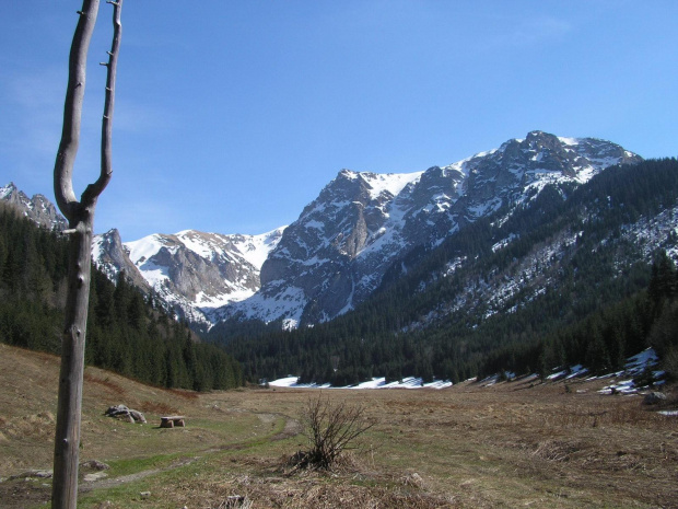 ZAKOPANE 2007