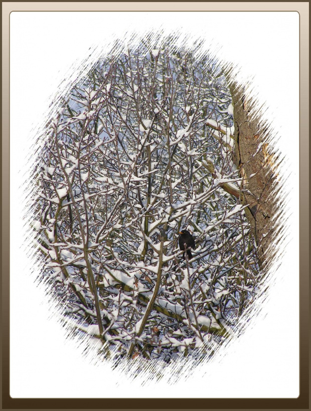 #drzewa #flora #łąki #pola #psy #śnieg #wieś #zima #zwierzęta