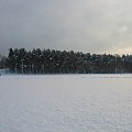 bez dokładnej selekcji, bez kadrowania, bez obróbki- jak leci....
bo tyle ich napstrykałam i każdego mi żal odrzucić- w końcu ta zima jest taka ładna :) #zima