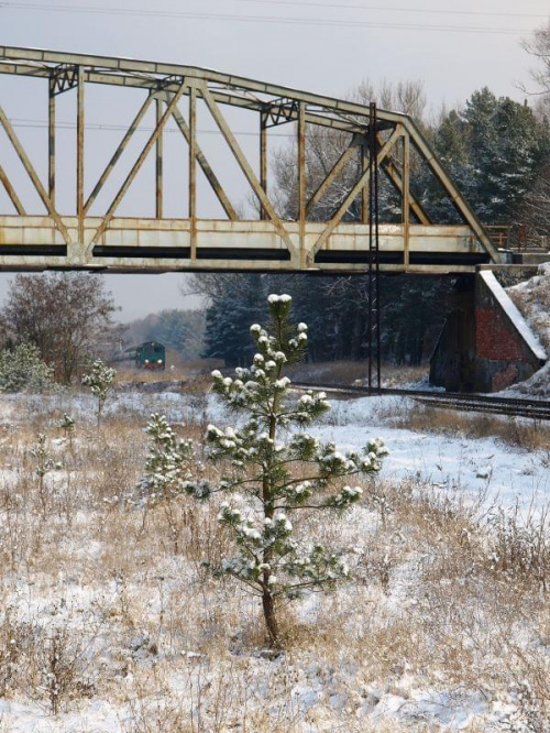 Piła 21.02.2009 - zima na Ostbahnie #kolej #Piła #PKP #zima