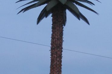 spacer po Krakowskim Przedmieściu, Nowym Świecie, ot Warszawa w pigułce #SpacerPoKrakowskimPrzedmieściu #NowymŚwiecie #OtWarszawaWPigułce