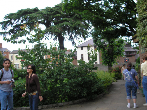 Stratford upon Avon, rodzinne miasto Shakespeare'a #STRATFORD