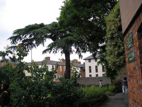 Stratford upon Avon, rodzinne miasto Shakespeare'a #STRATFORD