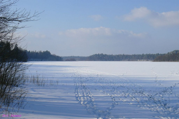 Jezioro Jegocin #Jegocin