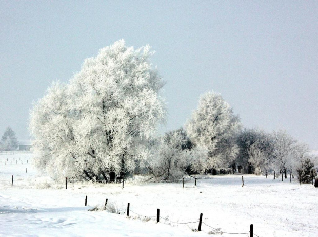 Szadź...