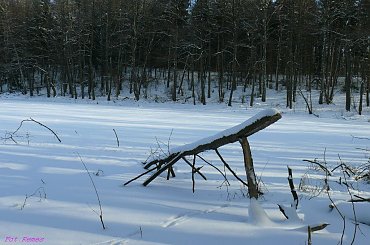 Jezioro Nicponek #Nicponek