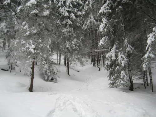 Zimą w Górach Stołowych