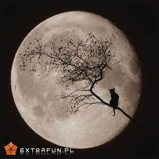 www.extrafun.pl #extrafun