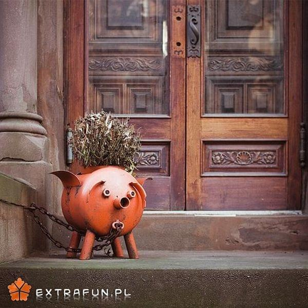 www.extrafun.pl #extrafun