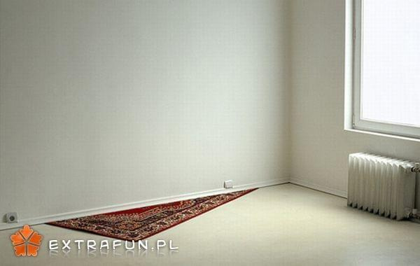 www.extrafun.pl #extrafun
