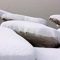 Na brzegu Wisły zwały lodowych tafli...