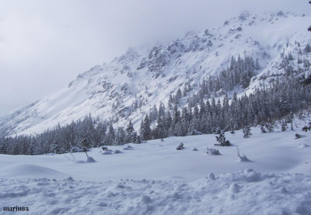 tatry