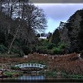 Trebah Garden nr Falmouth Cornwall #Ogrod #drzewa #mostek #widok
