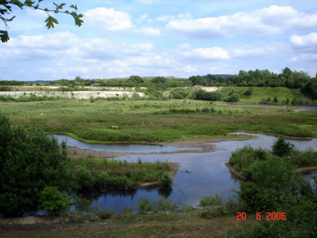 TRING-ANGLIA #TRING