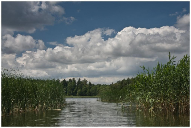 Krutynia (2008) #jeziora #rzeki #mazury #krutynia #spływ #kajak