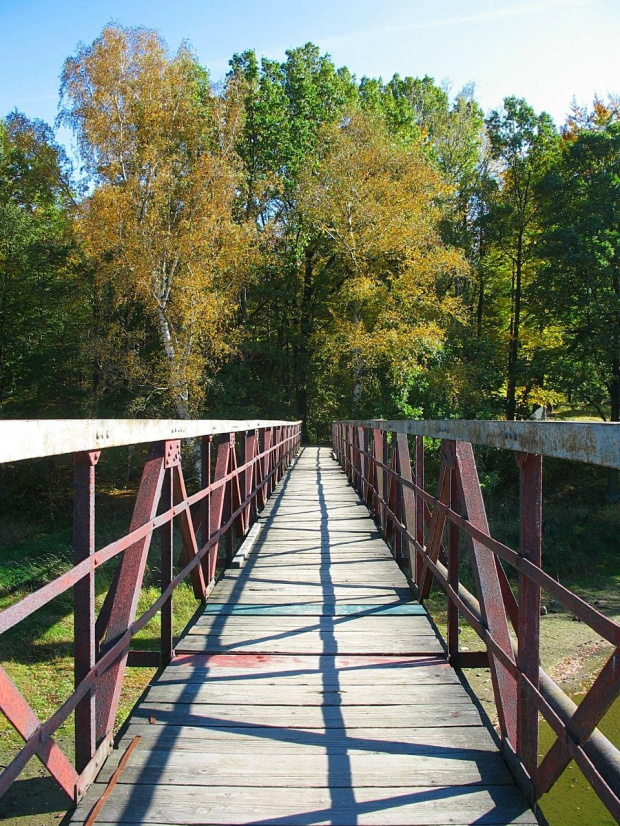 z tego miejsca były robione zdjęcia Jeziora Złotnickiego :) #JezioroZłotnickie #jesień #kładka #mostek