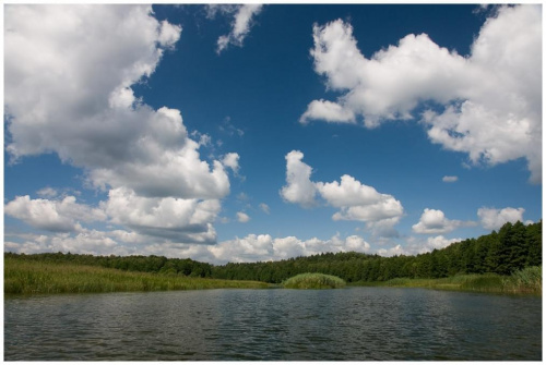 Krutynia (2008) #jeziora #rzeki #mazury #krutynia #spływ #kajak