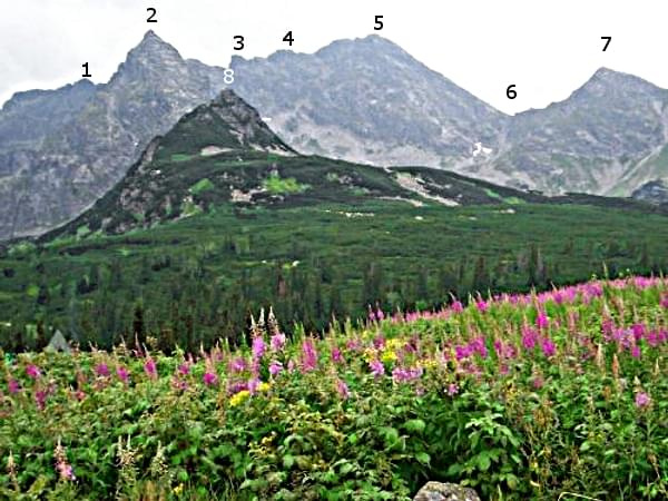 Okolice Hali Gąsiennicowej.
1. Mały Kozi Wierch - 2226 m, 2. Kościelec - 2158 m, 3. Niebieska Turnia - 2262 m, 4. Gąsiennicowa Turnia - 2280 m, 5. Świnica - 2301 m, 6. Świnicka Przełęcz - 2050 m, 7. Pośrednia Turnia - 2128 m, 8. Mały Kościelec - 1863 m.