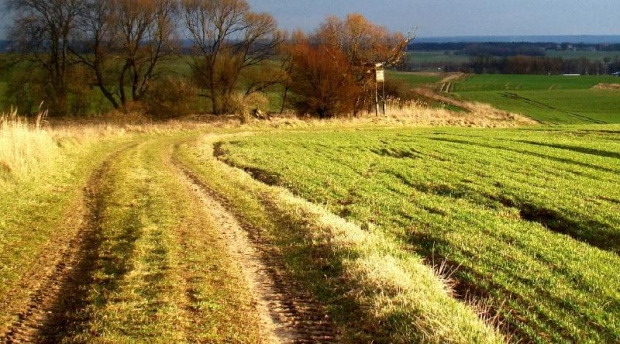 pod wieczor dzisiaj zaswiecilo słoneczko i tak sie zrobiło :))) #natura #okolica #pola #wiosna