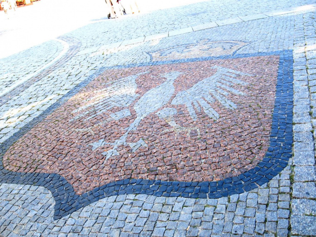 Rynek i Katedra w Gnieźnie #Gniezno