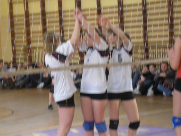 Piłka siatkowa dziewcząt - Gmina 2008/2009