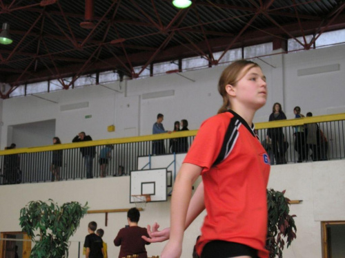 Badminton 2008/2009