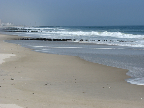 Kwietniowy spacer plaża #plaża #ocean #muszle
