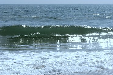 Kwietniowy spacer plaża #plaża #ocean #muszle