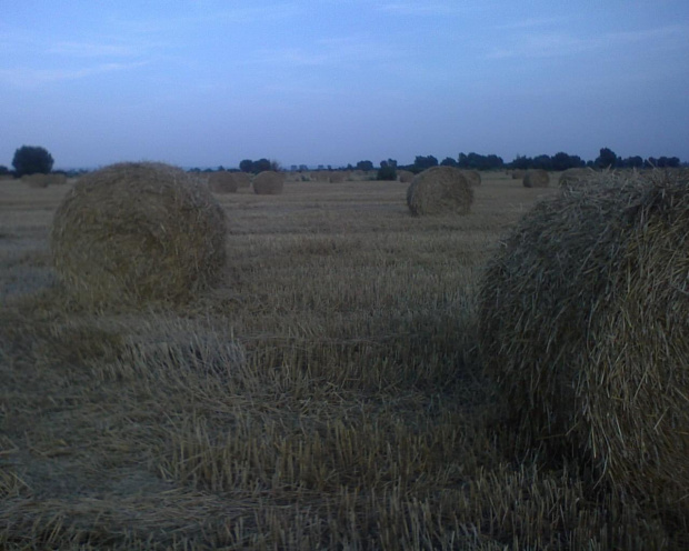 ja lubię wersję i powtórki ale sami przyznacie że jak się z jasnością kombinuje to wychodzą inne zdjęcia zupełnie :)