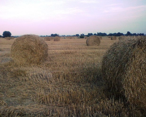 ja lubię wersję i powtórki ale sami przyznacie że jak się z jasnością kombinuje to wychodzą inne zdjęcia zupełnie :)