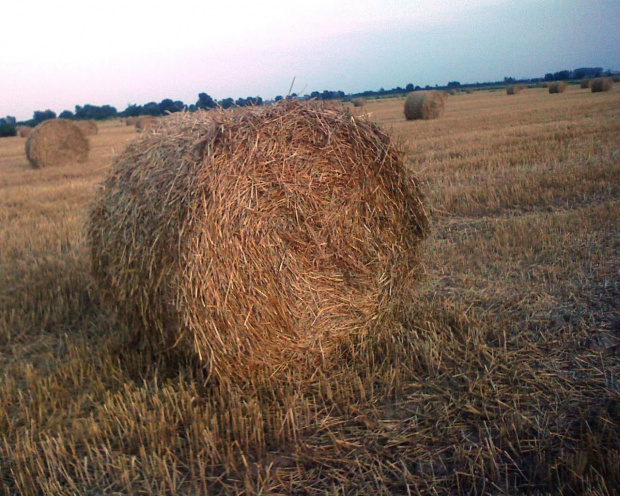 ja lubię wersję i powtórki ale sami przyznacie że jak się z jasnością kombinuje to wychodzą inne zdjęcia zupełnie :)