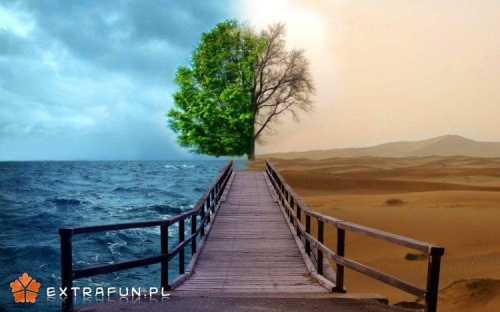 www.extrafun.pl #extrafun