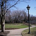park Rozeta McLain w Toronto #park #Toronto #wiosna