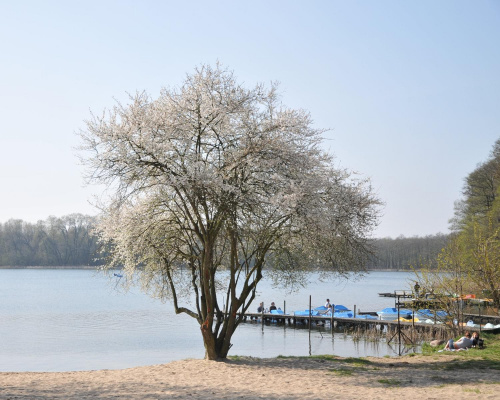 Spacer świąteczny nad jeziorem