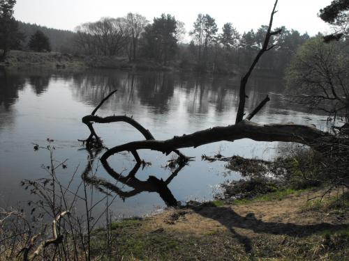 Puszczykowo, kwiecień 2009