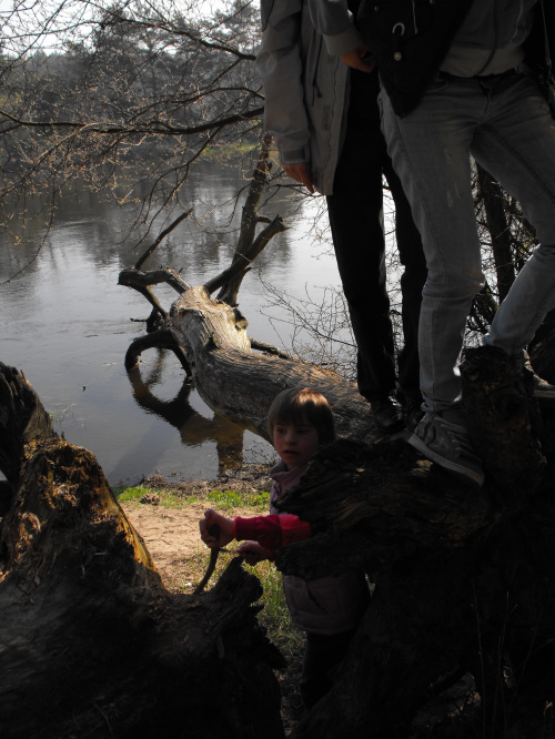 Puszczykowo, kwiecień 2009