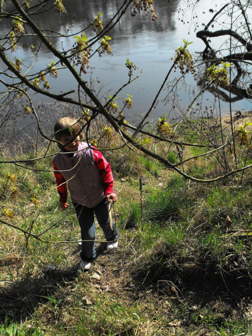 Puszczykowo, kwiecień 2009